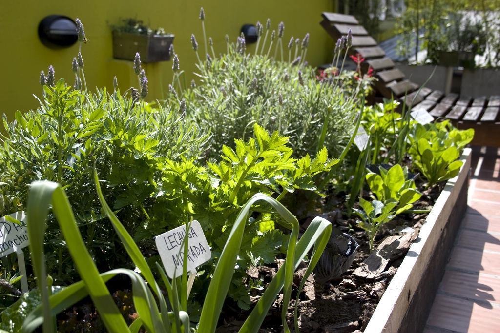 Eco Pampa Palermo Hostel Buenos Aires Exteriör bild